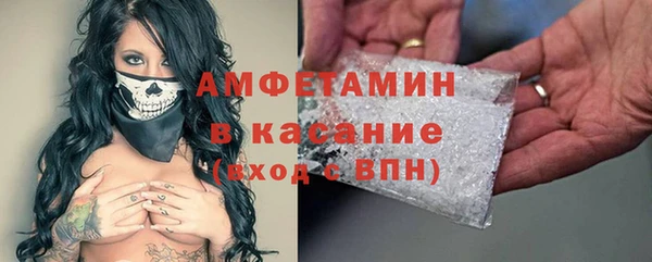 крисы Бородино
