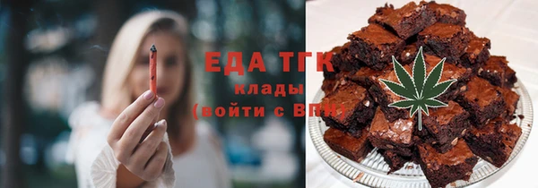 крисы Бородино