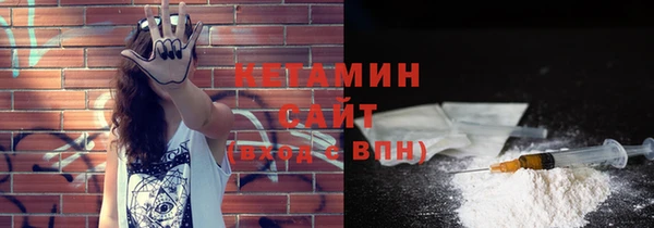 крисы Бородино