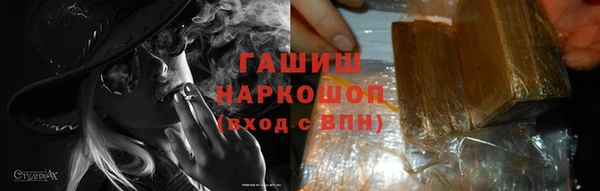 крисы Бородино