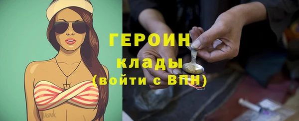 крисы Бородино