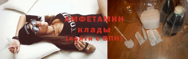 крисы Бородино