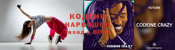 крисы Бородино