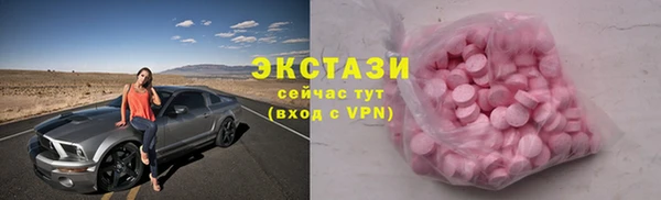 крисы Бородино