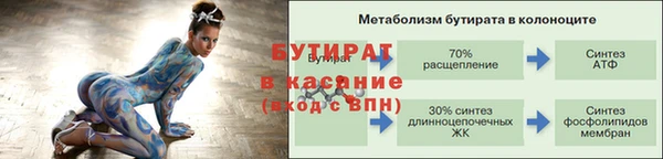 крисы Бородино