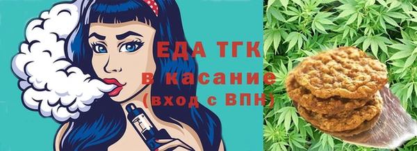 крисы Бородино