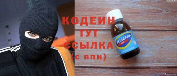 крисы Бородино