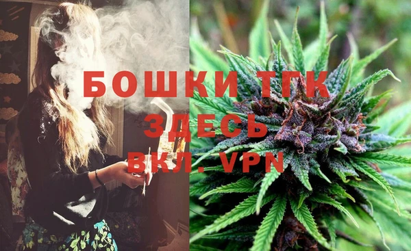 крисы Бородино