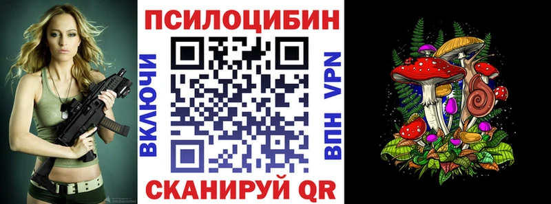Купить где  Галич  Галлюциногенные грибы Psilocybine cubensis 